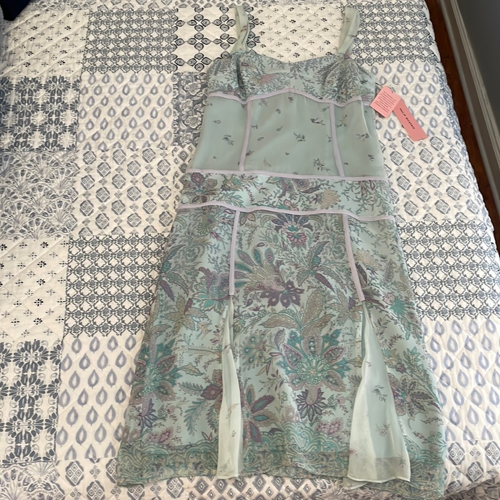 Philip DiCaprio Dress Size 4
